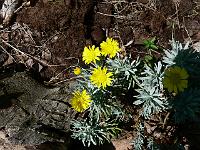 2011-06-01_10-27-38_0041