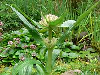 28-07-2006_09-13-17_94