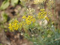 2012-07-27_17-27-27_0121