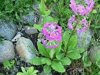 11-06-2006_19-17-41_144