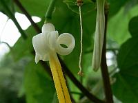 2009-07-01_09-10-25_0082