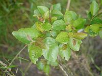 2012-07-06_17-10-41_0234