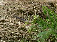 2010-08-01_09-30-18_0112