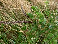 2010-08-11_09-23-29_0064