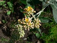 2009-07-26_15-01-13_0029