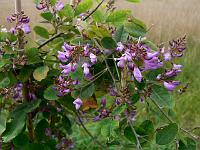 2008-09-20_09-29-15_0092