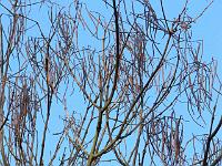 07-11-2006_14-45-39_06