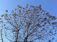 05-05-2007_19-59-41_07