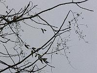 06-11-2006_11-02-20_53