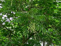 2010-07-28_08-38-08_0035