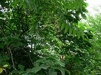 2010-08-12_09-42-51_0001