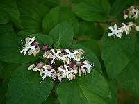 2014-08-14_09-20-02_0102