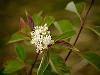 2012-07-28_08-57-44_0049