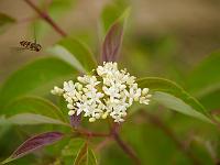 2012-07-28_08-58-09_0058