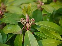 2014-04-30_08-09-09_0069