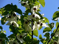 2009-05-11_08-01-25_0030