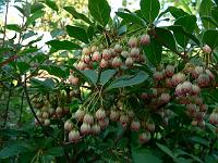 2011-05-19_17-38-06_0133