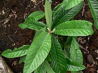 2010-08-20_16-56-15_0011