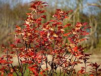 2012-11-19_11-28-15_0038