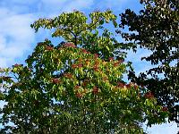 2009-10-08_09-54-56_0064