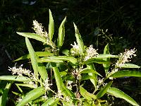 2014-06-14_15-49-07_0032