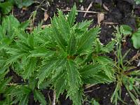 2011-08-10_16-08-07_0034