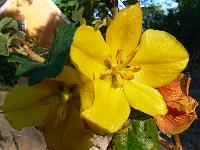 2008-06-04_18-33-54_0048