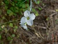 2010-08-22_14-49-25_0007