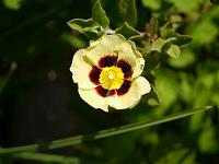 2012-05-24_07-42-36_0004