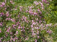 2014-06-26_10-07-56_0207