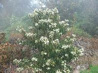 2011-10-02_08-41-49_0072