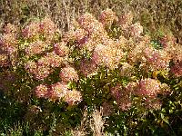 2012-10-06_13-43-58_0379