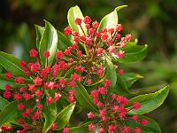 2014-06-03_16-44-15_0027