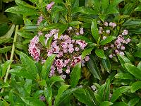 2013-06-23_17-07-23_0104