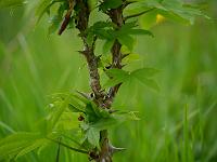 2013-05-19_16-46-47_0112