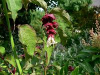 02-08-2007_13-24-01_44