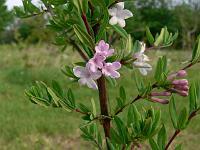 2011-05-11_07-24-15_0067