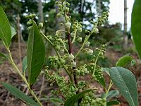 2008-06-29_14-11-24_0011