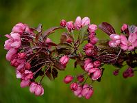 2012-05-15_15-32-16_0325