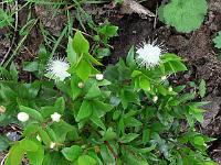 2011-08-03_15-37-01_0008