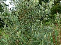 2009-09-09_08-45-44_0062