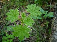 2014-04-28_15-29-38_0097