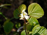 2012-06-18_08-08-29_0076