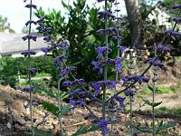 2008-08-31_08-56-27_0001