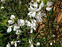 2010-05-21_09-49-37_0156