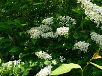 12-05-2006_12-53-12_85