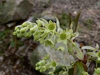 2010-03-28_12-42-47_0004