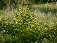 2012-06-22_18-45-28_0712