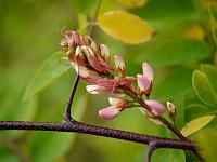 2012-06-30_09-29-54_0059