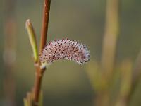 2012-03-28_09-15-43_0406